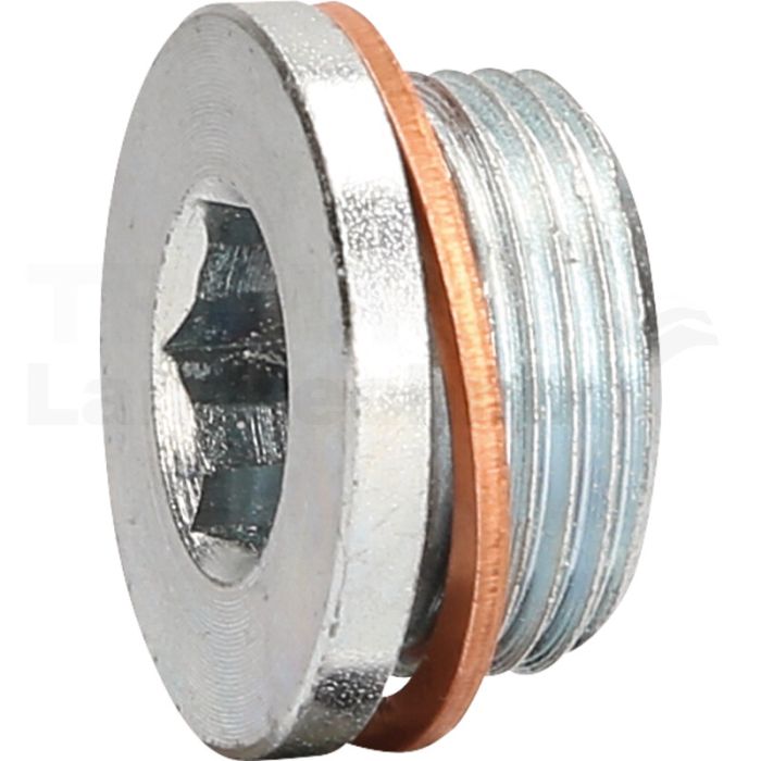 Ölablassschraube M22 x 1,5 x 1, 430.0602