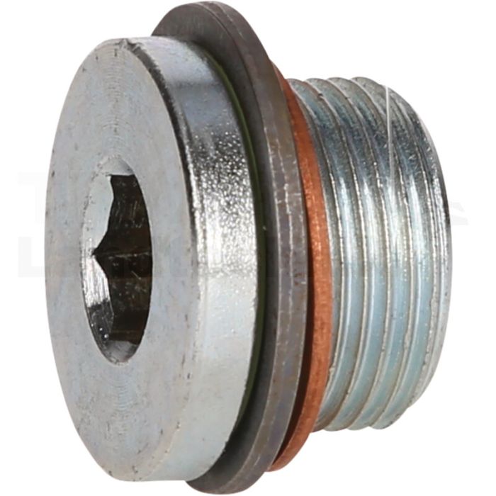 Ölablassschraube M22 x 1,5 x 1, 430.0605