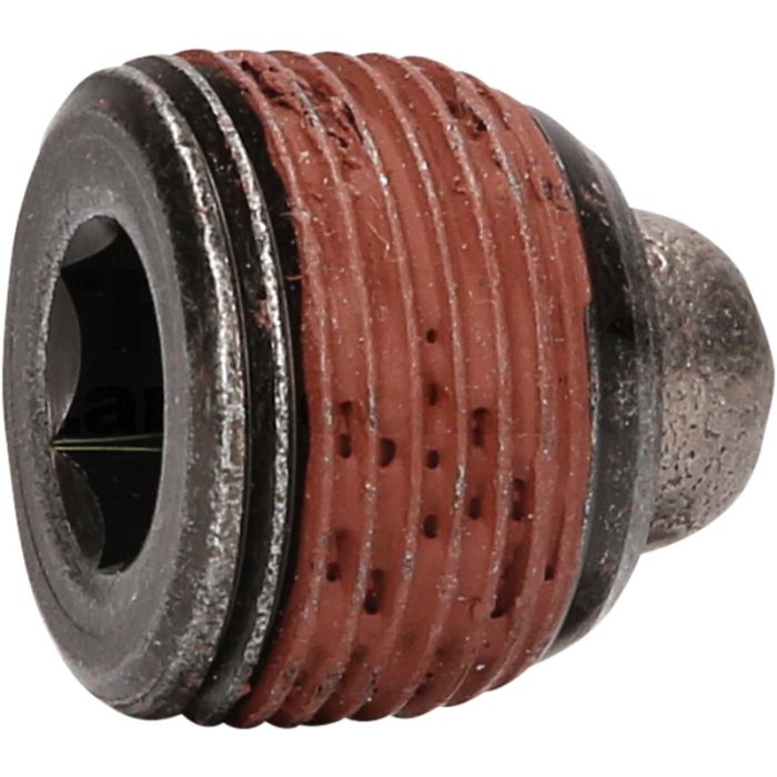 Ölablassschraube M24 x 1,5 x 2, 430.0608