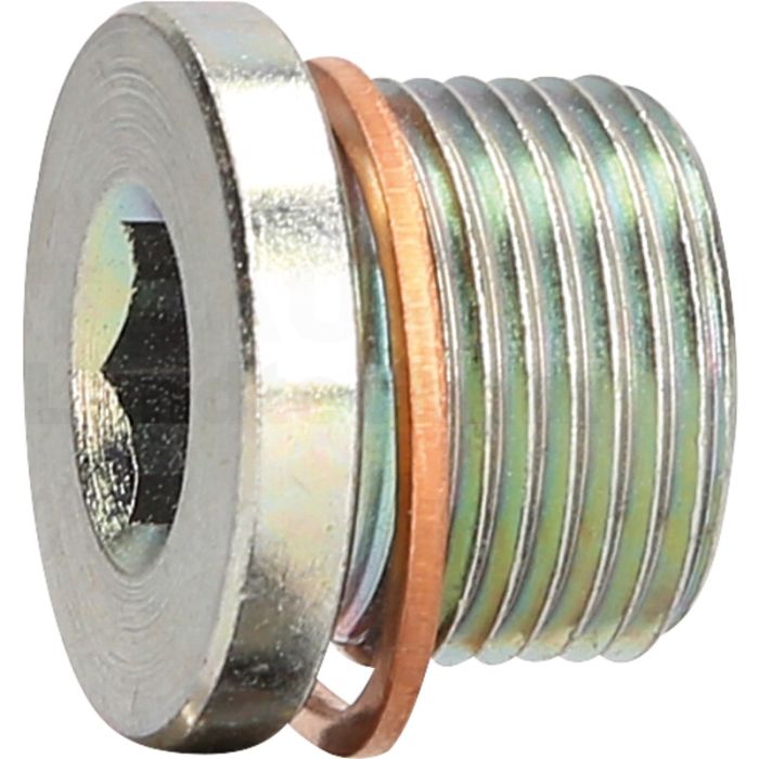 Ölablassschraube M20 x 1,5 x 1, 430.0614