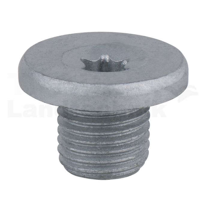 Ölablassschraube, TORX®, T45 mm 10er Pac