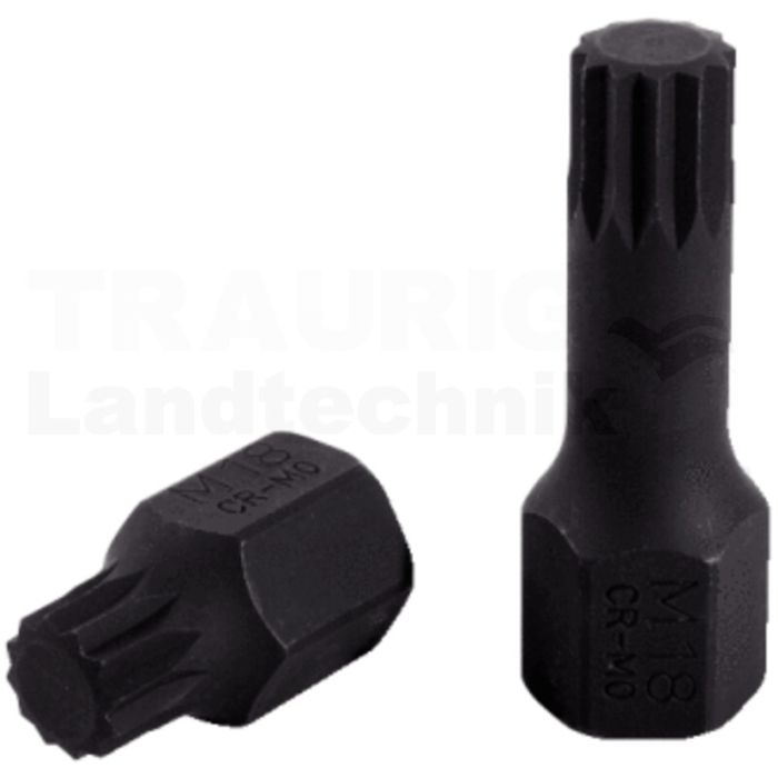 1/2" Spez.-Kraft Bit Stecknuss XZN, lg