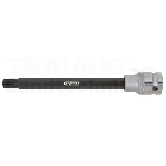 1/2" Bit-Stecknuss für RIBE-Schrauben, extra lang, M10