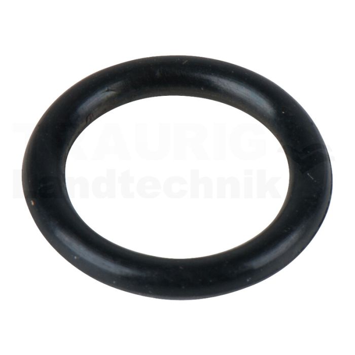 O-Ring für Drehzahlregulierung O-Ring für Drehzahlregulierung