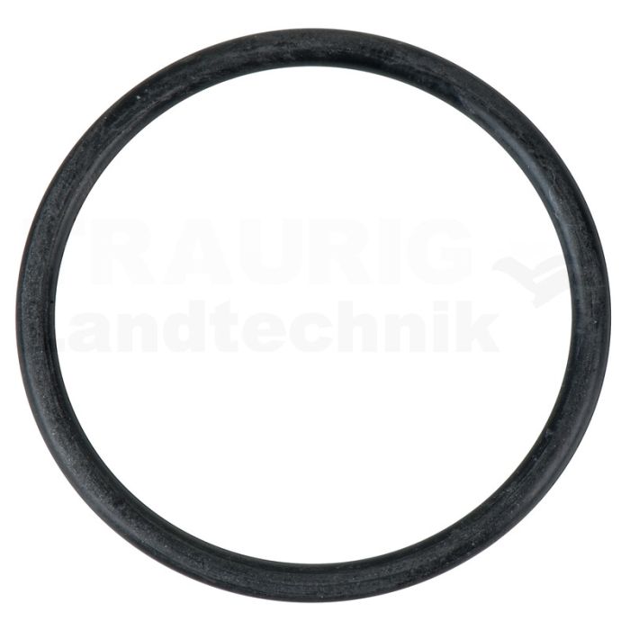 O-Ring für Motoverschraubung O-Ring für Motoverschraubung