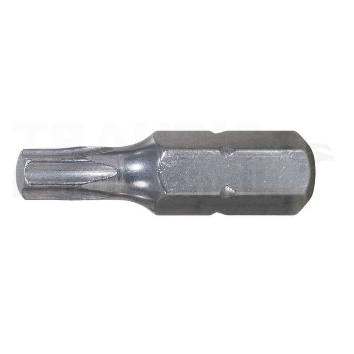 1/ 4' INOX + Bit TX, 25mm, T40
