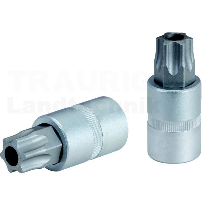 1/ 2" Bit Stecknuss TX m. Bohrung, TB80