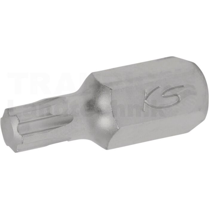10 mm TORX PLUS Bit, IP55 10 mm TORX PLUS Bit, IP55