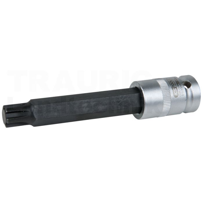 Stecknuss Bit 1/2", für RIBE, 911.4544