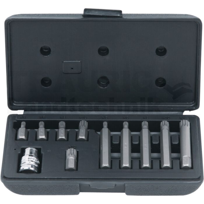 10mm Bit-Satz, 11-tlg., Vielzahn