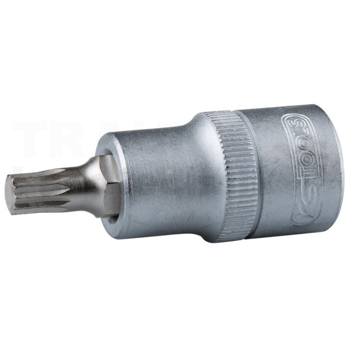 1/ 4" Bit Stecknuss XZN, M6 1/ 4" Bit Stecknuss XZN, M6
