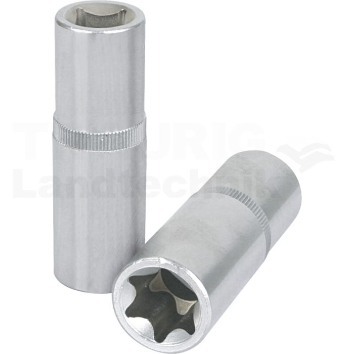 1/4" TX-Stern-E-Stecknuss, lang, E8