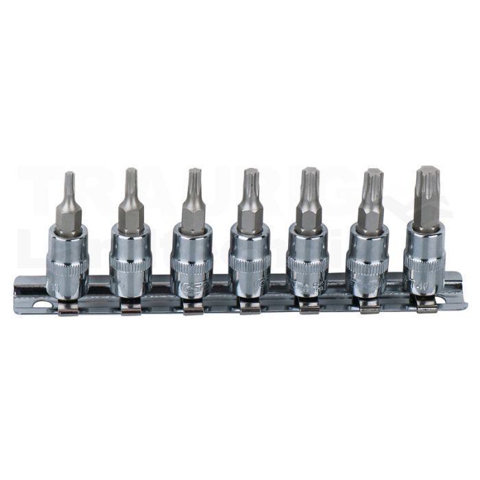 1/4" CHROME+Bit Stecknuss Satz T x