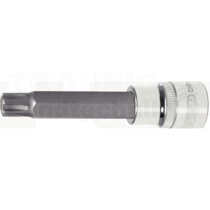 1/2" CHROME+Bit Stecknuss RIBE