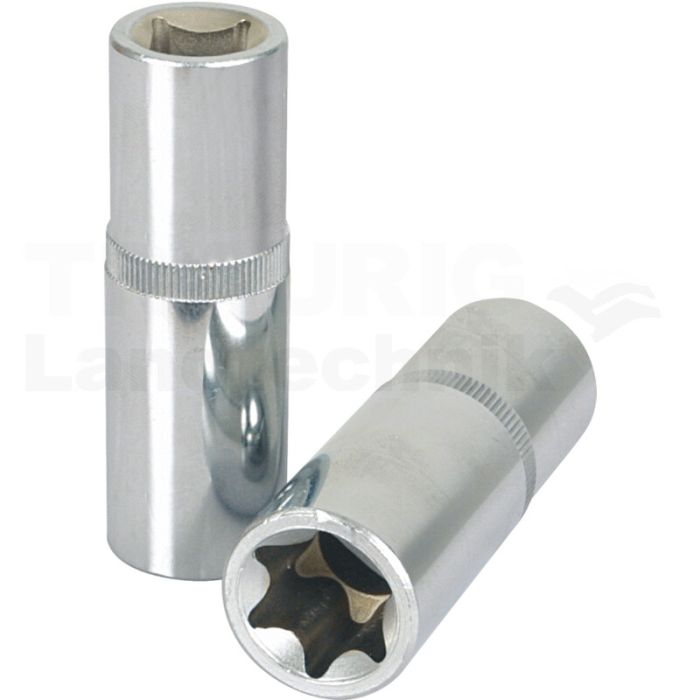 1/4" CHROMEplus TX-Stern-E-Stecknuss, lang, E8