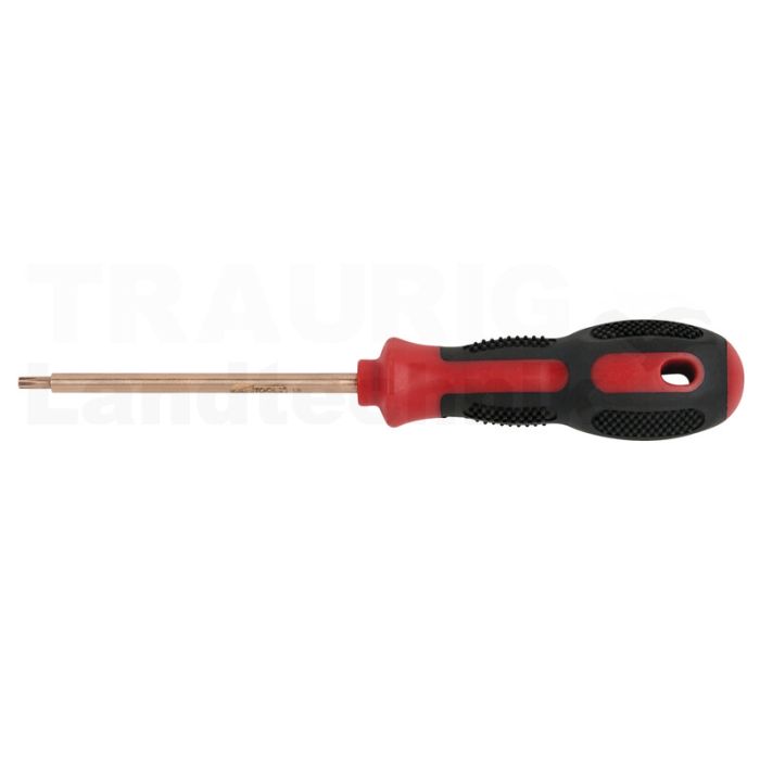 BERYLLIUM Schraubendreher TORX T5