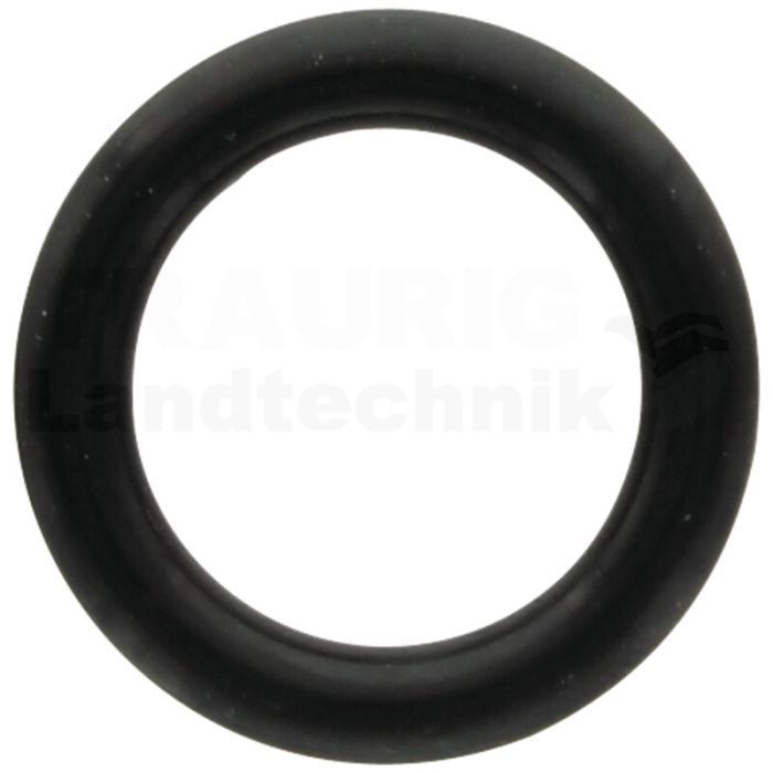 O-Ring