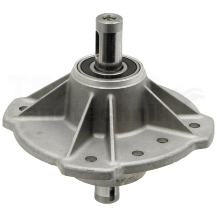 Messerspindel Messerspindel