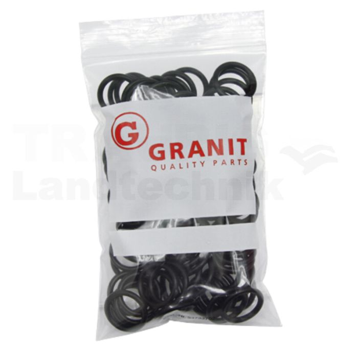 O-Ring SKM BG3