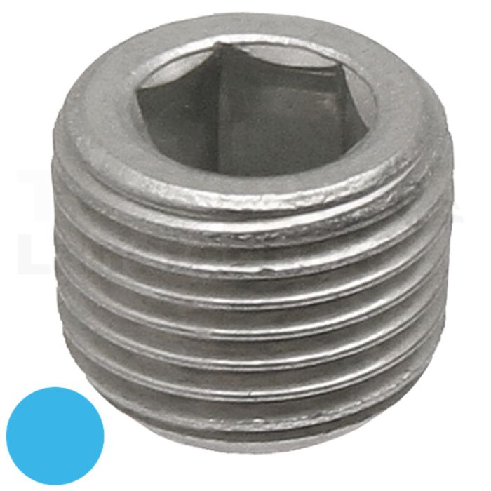 EV 1.1/4 M-NPT