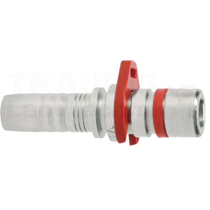 PN 06 EF D10