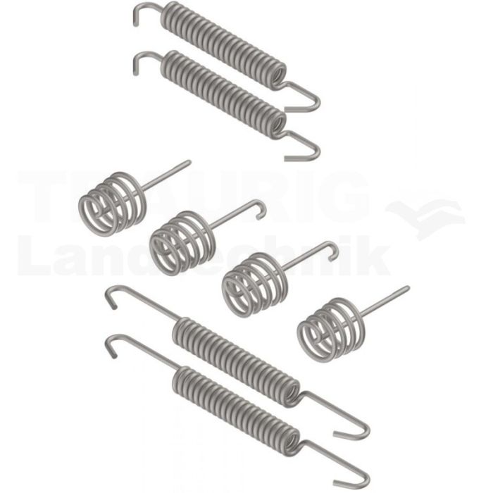 Federnsatz Achse 20-965/1