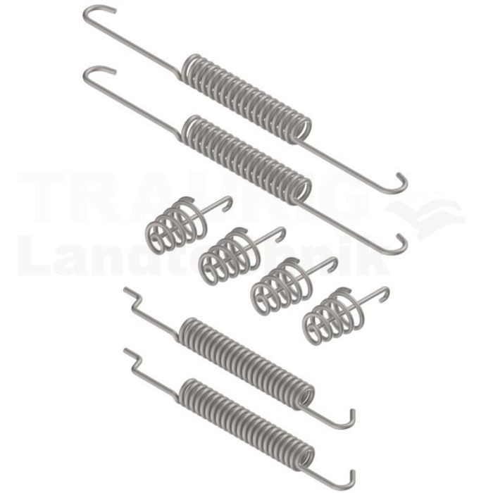 Federnsatz Achse 25-4300