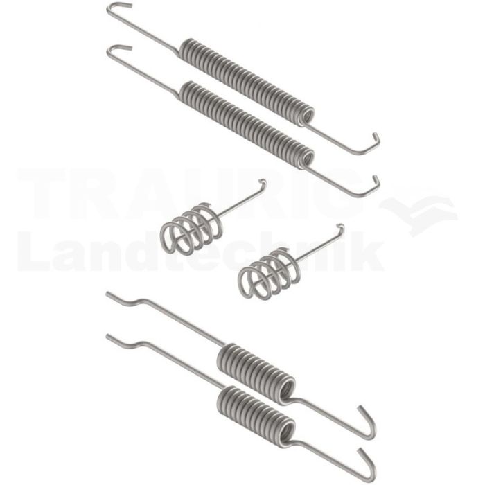 Federnsatz Achse 30-4310
