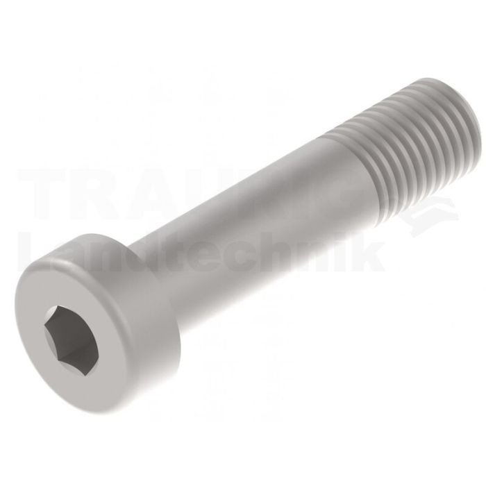 Zylinderschraube M8 x 35 DIN 7984