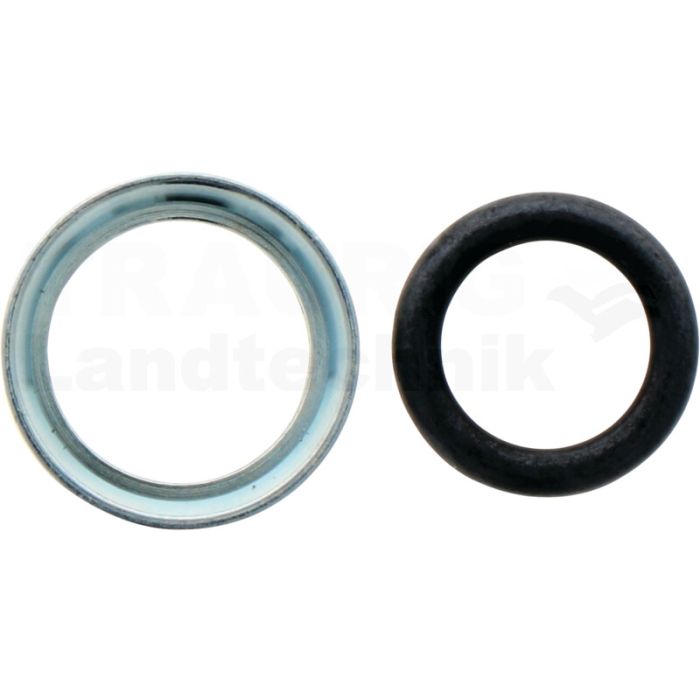 Dichtring mit O-Ring