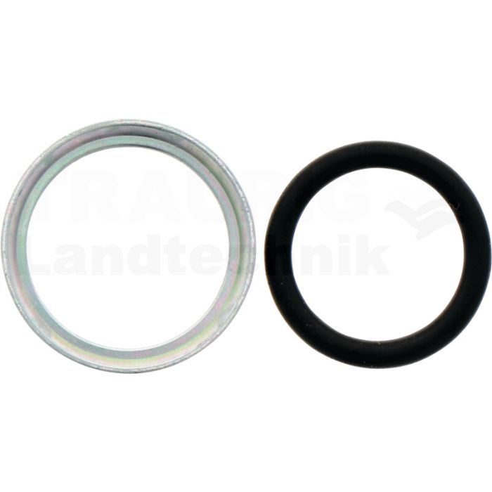 Dichtring mit O-Ring