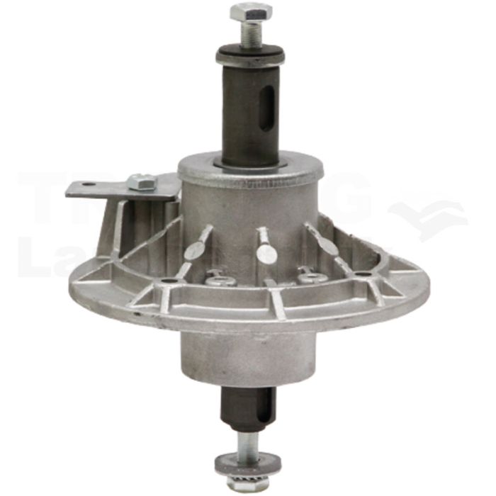 Messerspindel Messerspindel