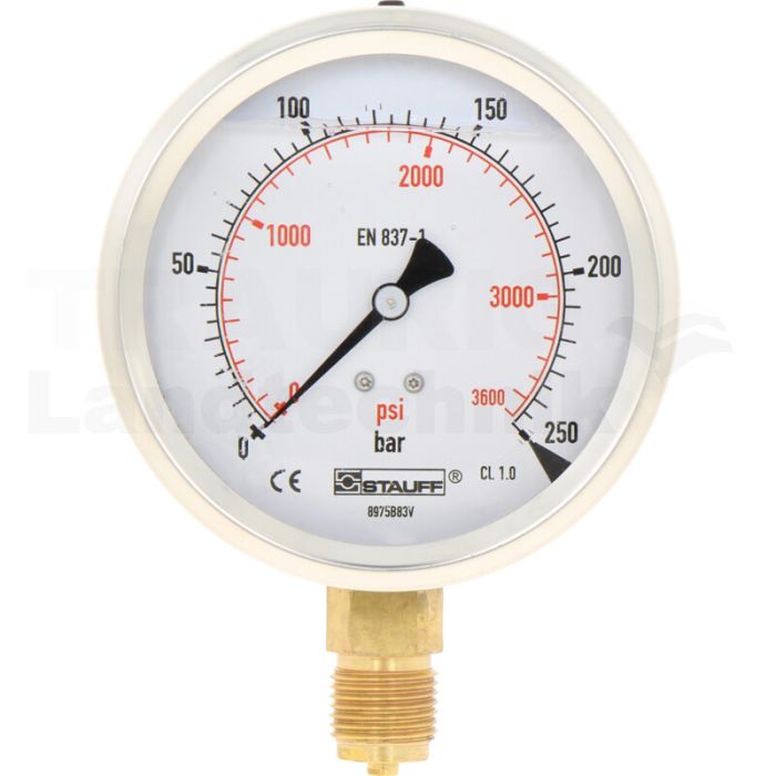 Manometer 250 bar Ø100mm-1/2" Manometer 250 bar Ø100mm-1/2"