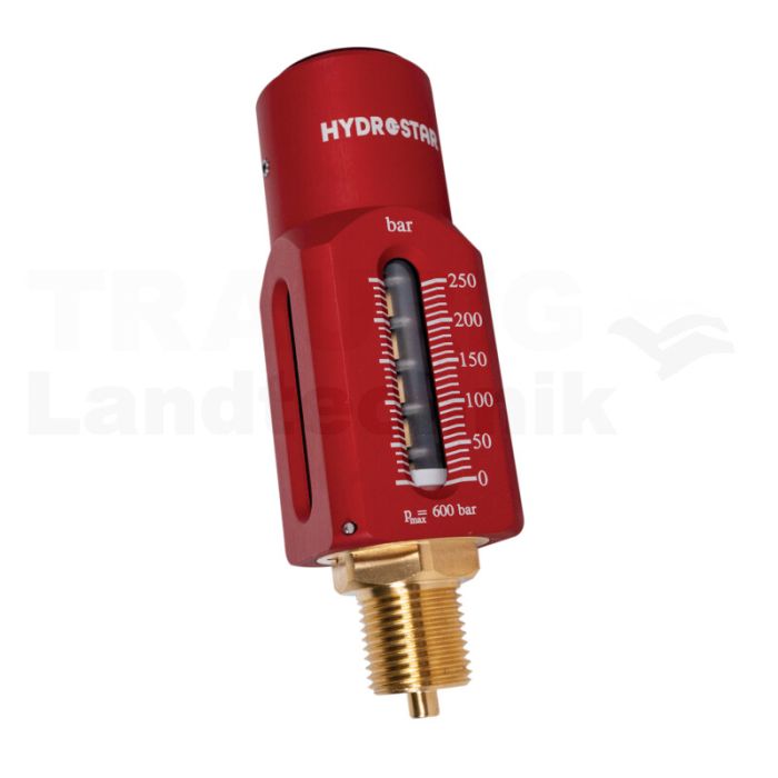 Tauchkolben-Feder-Manometer 250 bar