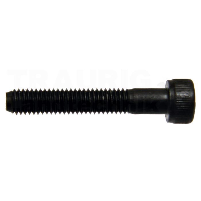 NG06-Schrauben M5x110 12.9