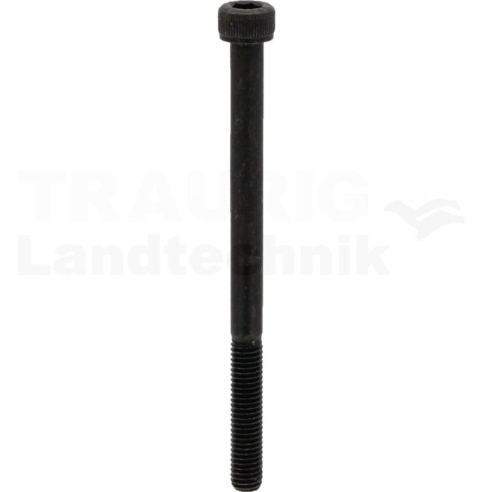 NG06-Schrauben M5x110 12.9
