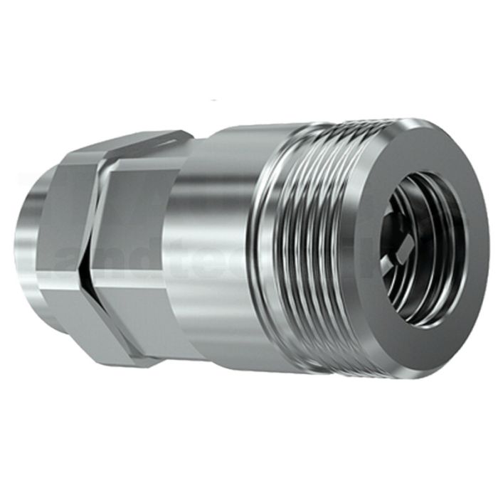 CVE Muffe IG 1" BSP