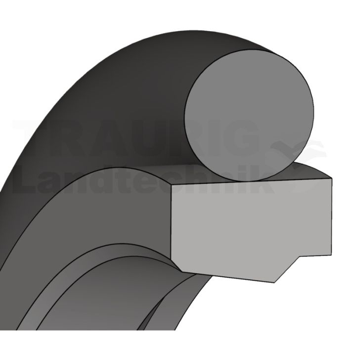 Einfachwirkende Stangendichtung aus PTFE