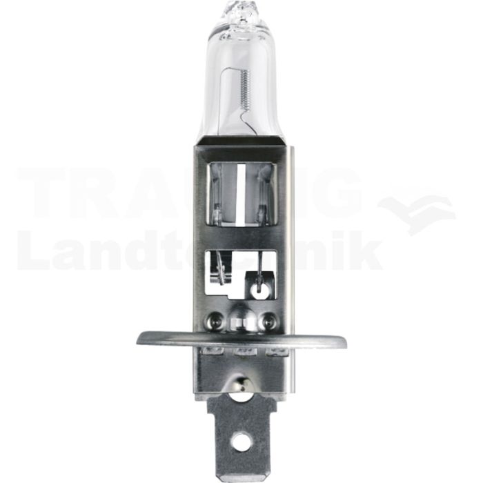 Halogenlampe H1