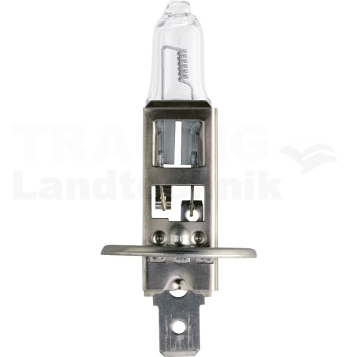 Halogenlampe H1
