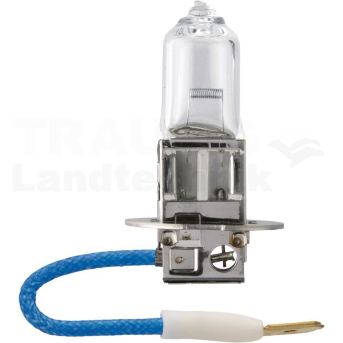 Halogenlampe H3