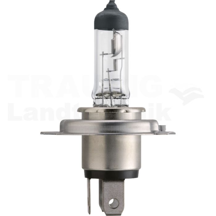 Halogenlampe H4