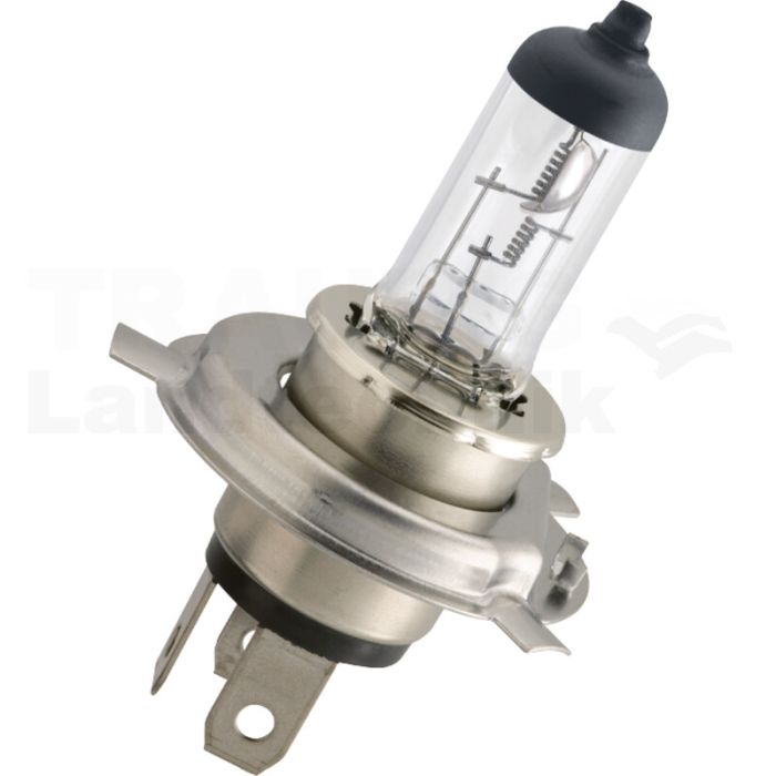 Halogenlampe H4