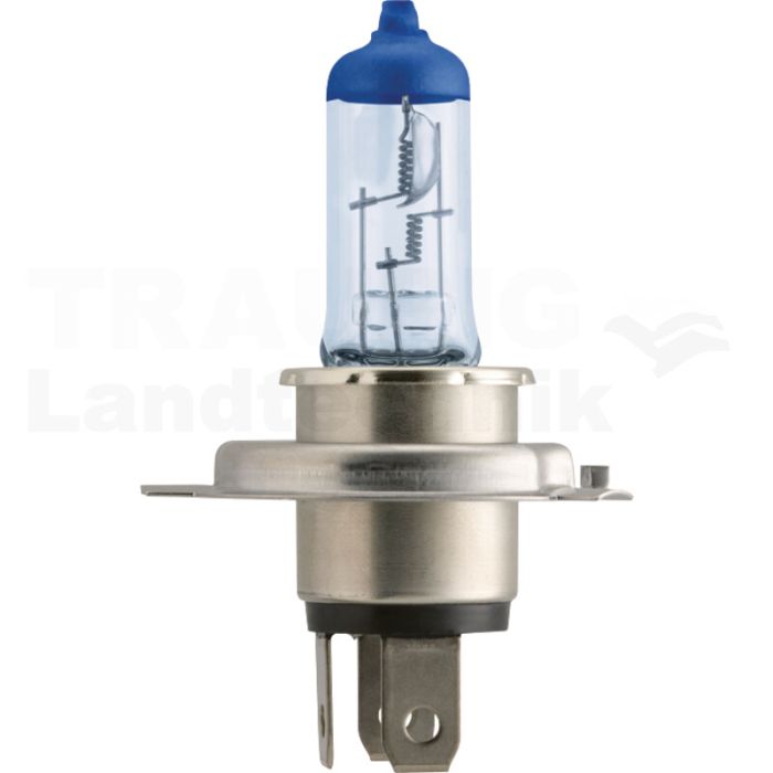 Halogenlampe H4