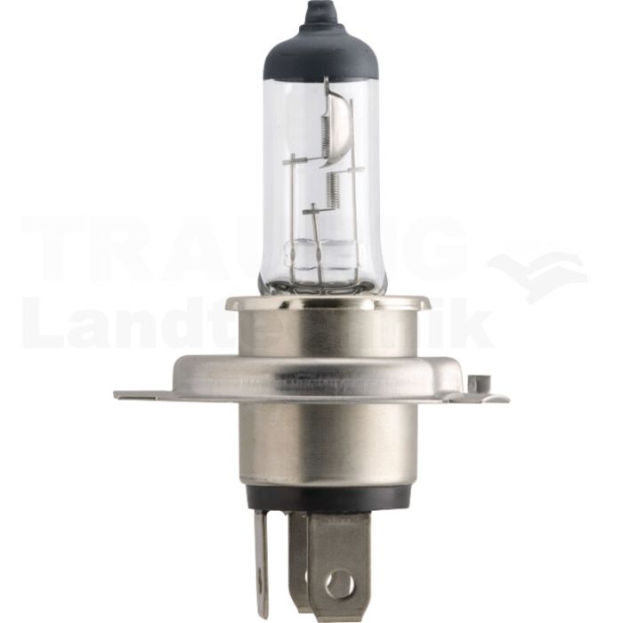 Halogenlampe H4