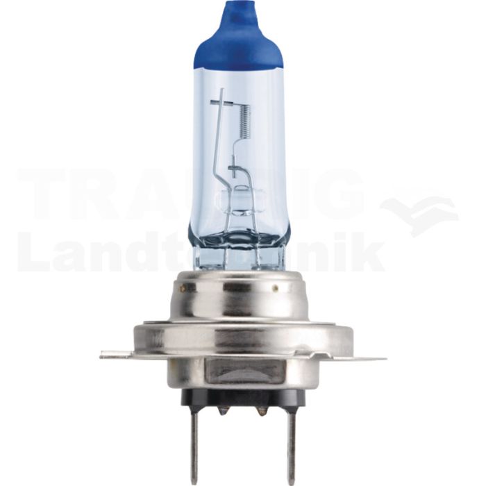 Halogenlampe H7