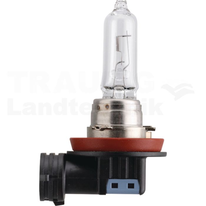 Halogenlampe H9