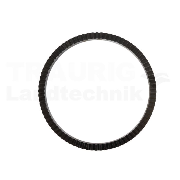 Ring Polrad 80 Zähne