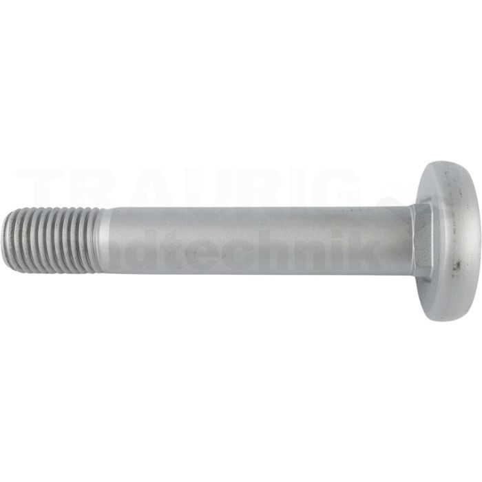 SCHRAUBE M30X180/40 GEO