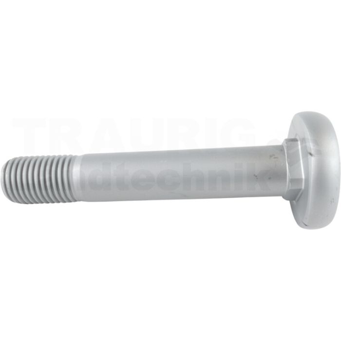 Federbolzen M 30 x 170, 8.8, Ø 62